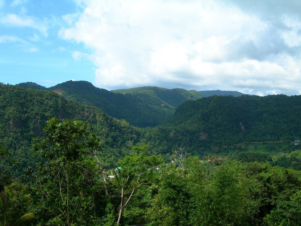 Roxys Mountain Lodge Laudat 外观 照片